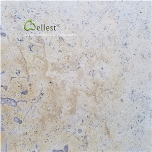 Mocha Cream Beige Limestone Paver for Floor