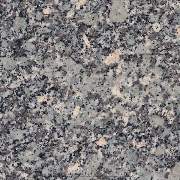 Alma Grey Granite Slabs, Tiles