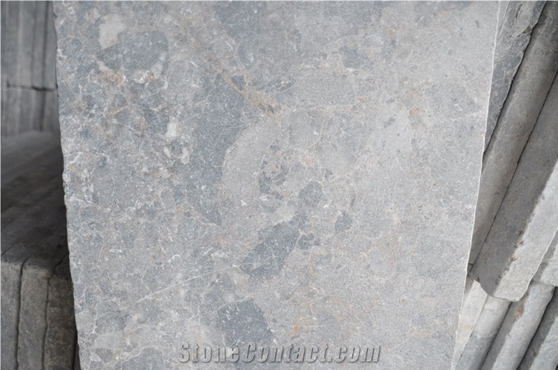 Frog Skin Sanded Antiqued, Multicolor Paving