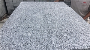 Hainan G654 Dark Grey Pool Coping,Pool Paver Piece Flamed/Brushed