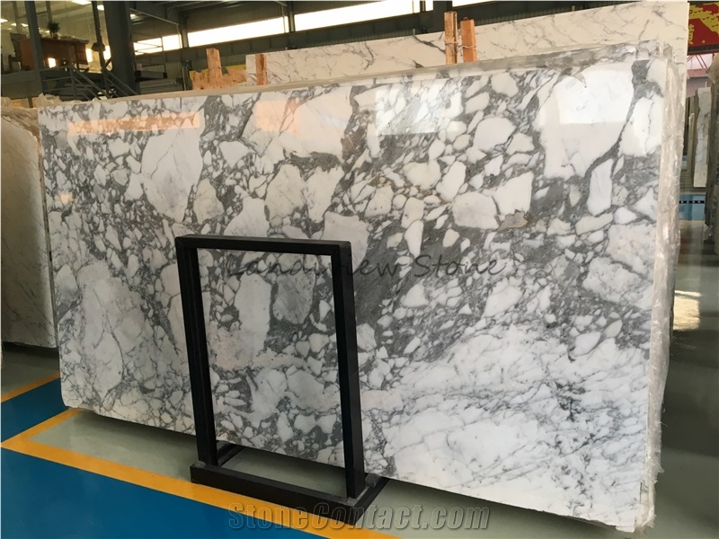 Arabescato Corchia Marble Slabs Wall Cladding