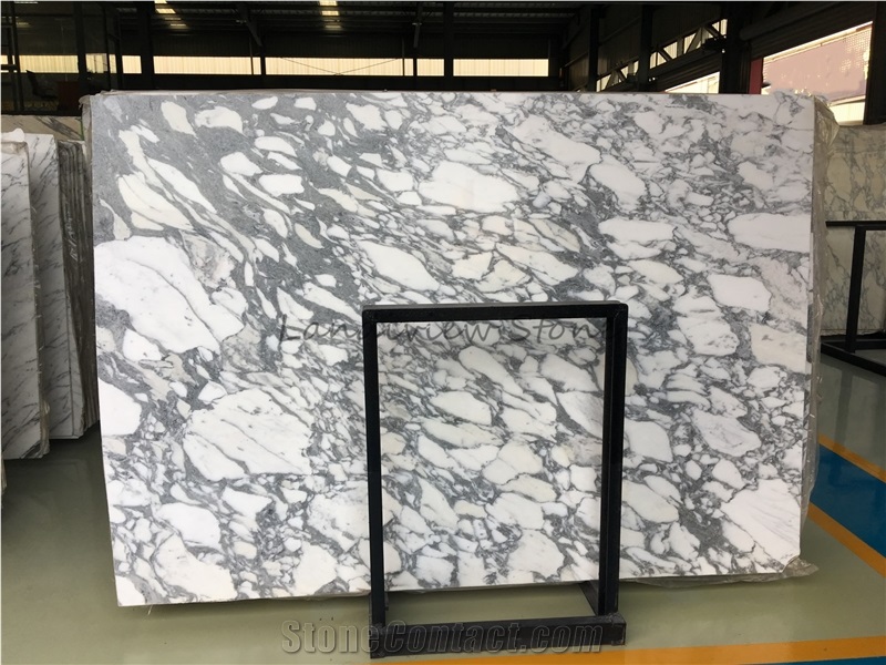 Arabescato Corchia Marble Slabs Wall Cladding