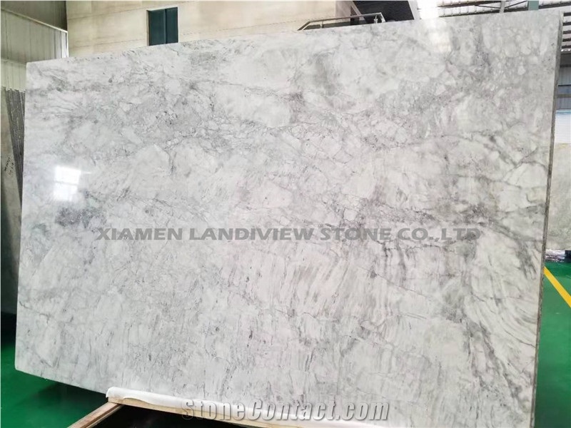 Calacatta Grey Dolomite Marble Floor Stone