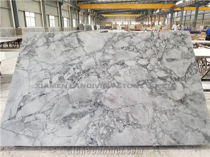 Grey and White Eclipsia Quartzite Floor Tiles Idea