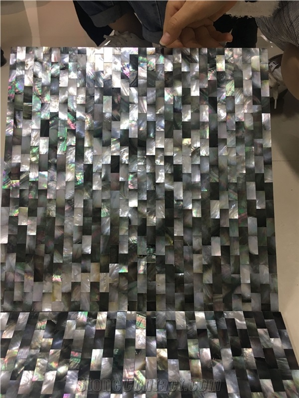 Mother Of Pearl Shell Mosaic Tile Black and White