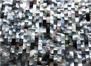 Mother Of Pearl Shell Mosaic Tile Black and White
