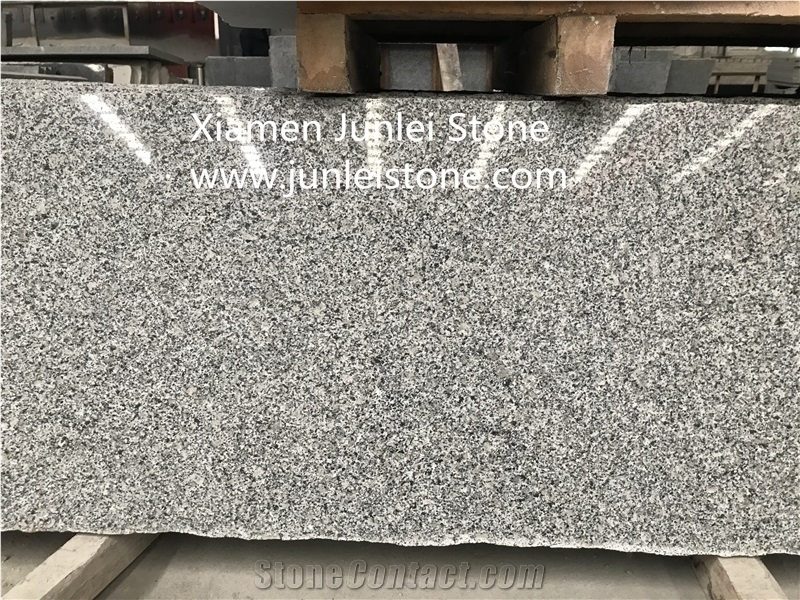 Grey Granite/Light Gray Granite/Cheap Granite