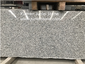 Grey Granite/Light Gray Granite/Cheap Granite