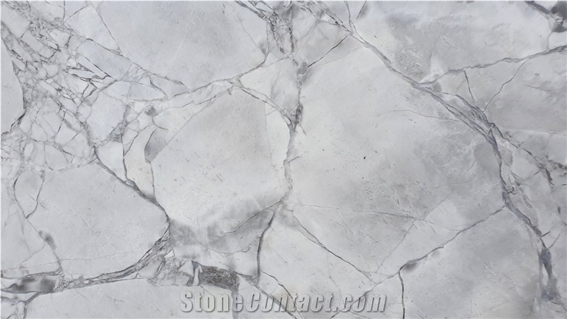 Super White Calacatta Quartzite Slab
