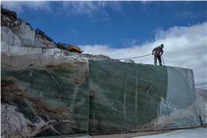 Botanic Green Quartzite Slabs