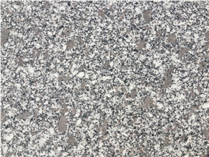 Ezine Yerli Granit- Ezine Grey Granite Slabs & Tiles