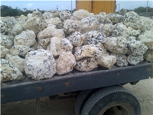 Coral Stone Garden Boulders
