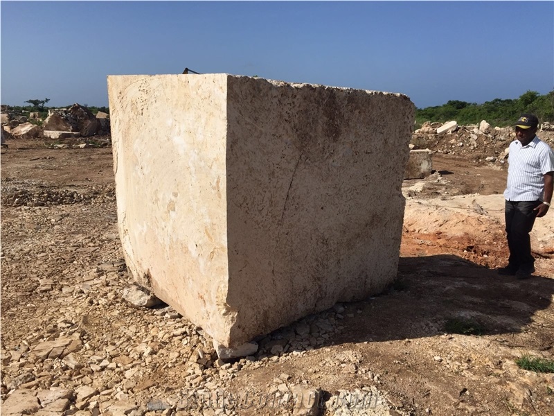 Dominican White Coral Stone Blocks
