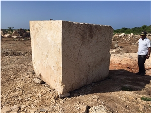 Dominican White Coral Stone Blocks