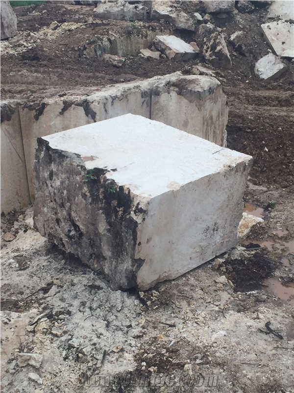 Dominican White Coral Stone Blocks