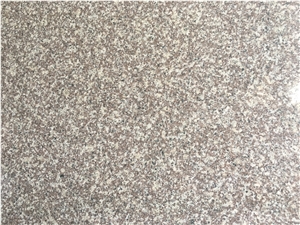 G664 Granite Gangsaw Slabs