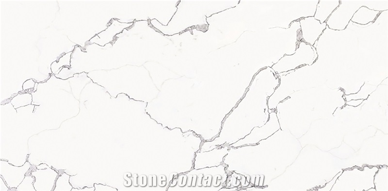 Calacatta Satuario Shamphered White Quartz