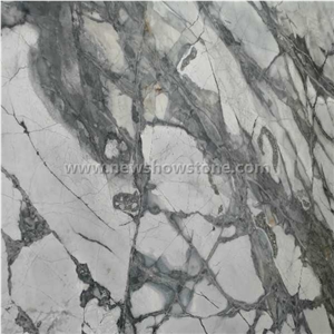 Polished Way Invisible Blue Marble from China