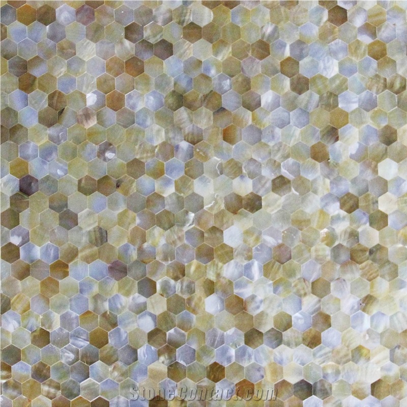 Deep Sea Shell Hexagon Tile Honeycomb Panel Mosaic