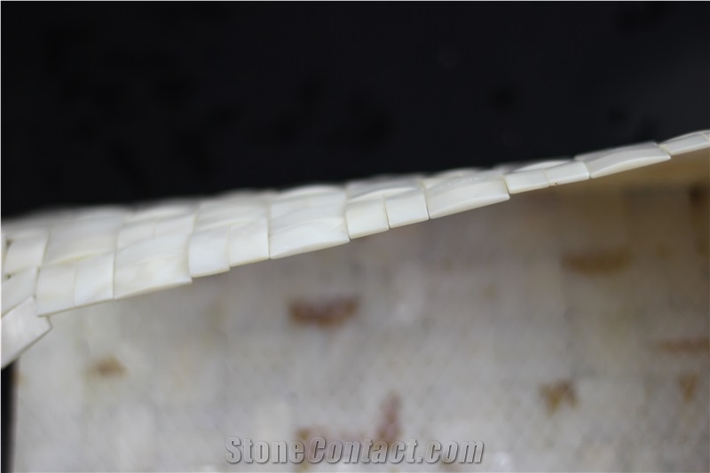 White 3d Shell Mosaic Tile Backsplash on Mesh