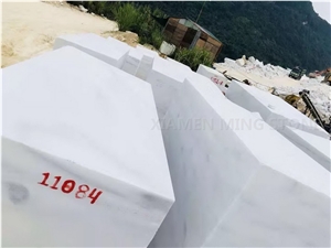 China Bianco Ariston White Marble Slab,Floor Tile Wall Panel