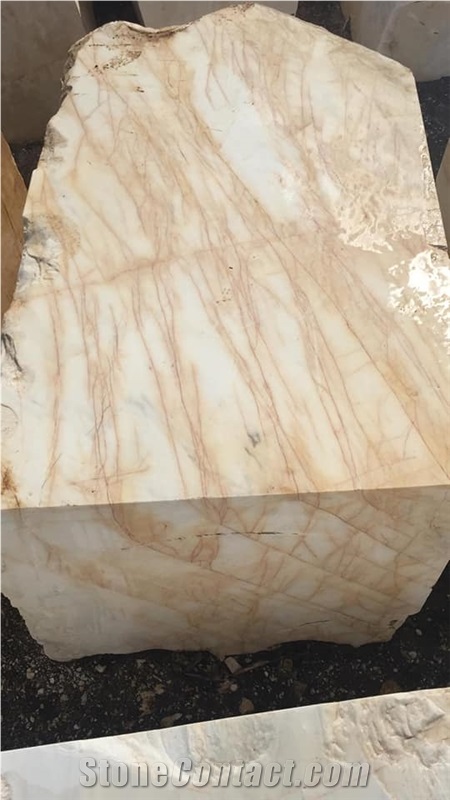 Dolomite Spider Marble Blocks