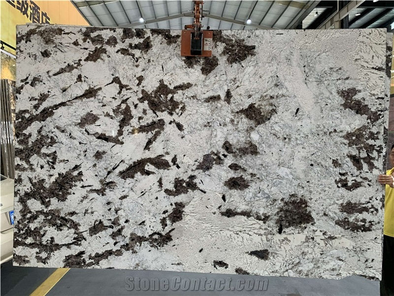 Brazil Snow Mountain Silver Fox Granite Slabs