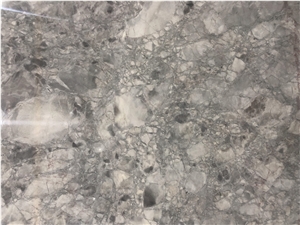 Calacatta Grey Super White Quartzite Interior Wall