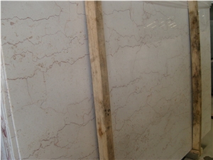 Hot Sales Shell Beige Marble for Vanity Top