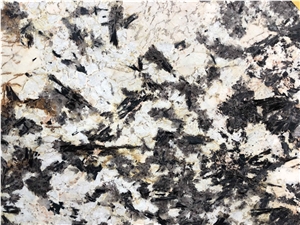 Luxury Havana Exclusive Granite for Hotel Project