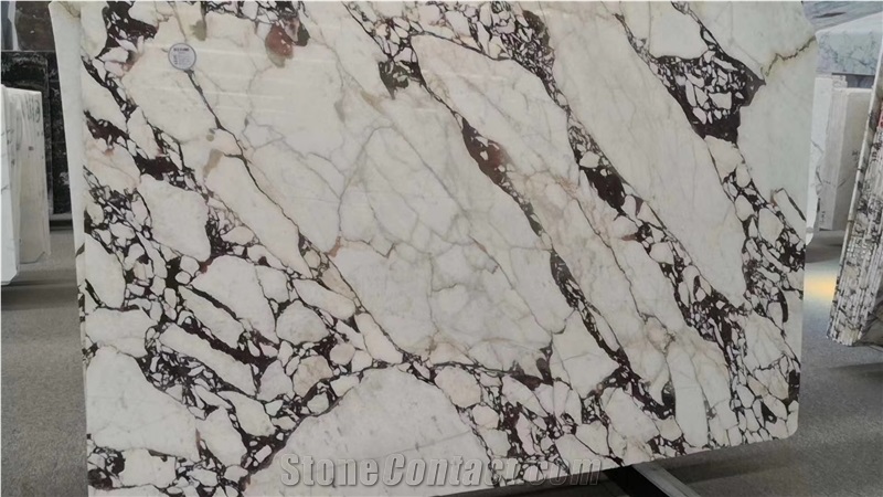 Calacatta Viola Marble for Tabletops