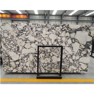 Calacatta Viola Purple Veins Marble Tiles & Slabs