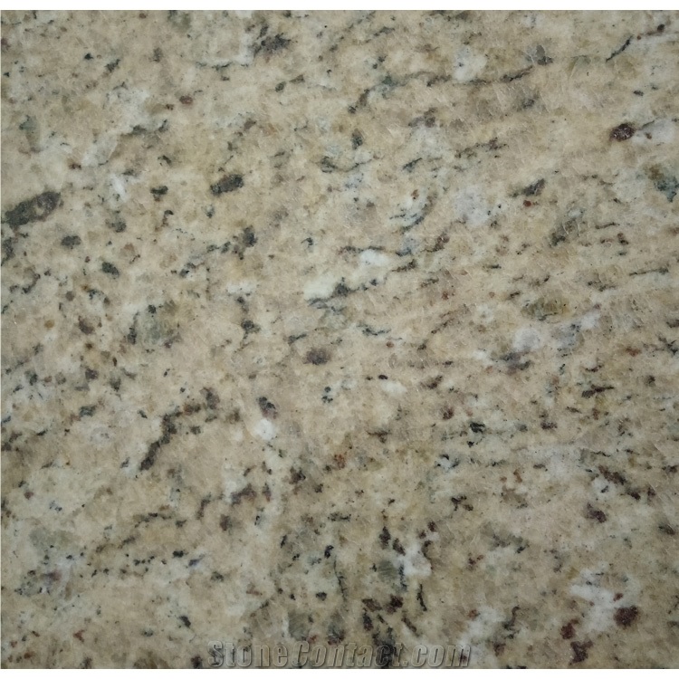 Golden Giallo Ornamental Granite Slabs for Kitchen