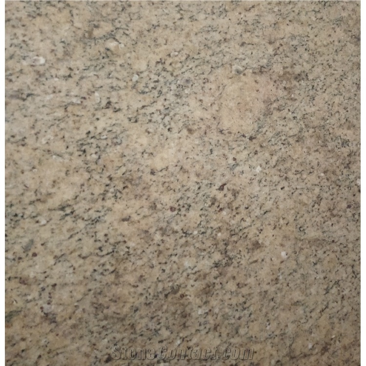 Golden Giallo Ornamental Granite Slabs for Kitchen