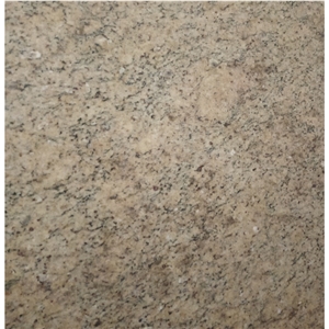 Golden Giallo Ornamental Granite Slabs for Kitchen