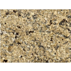 Ouro Brasil Granite,Marmi Bruno Zanet,Granito Slab