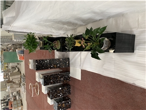 Nero Marquina Marble Plant Holders Customized Size