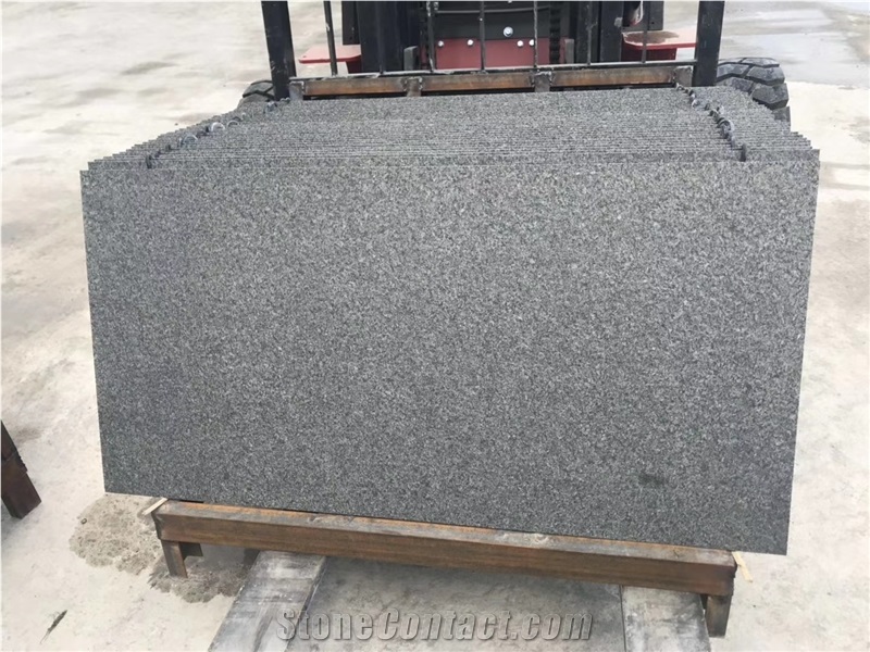 New G684 Black Pearl Granite Slab Tile
