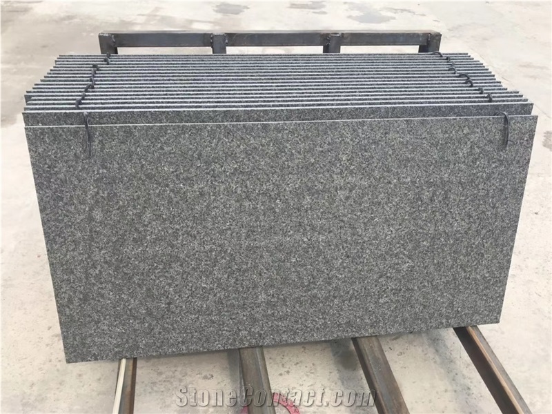 New G684 Black Pearl Granite Slab Tile