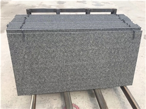 New G684 Black Pearl Granite Slab Tile