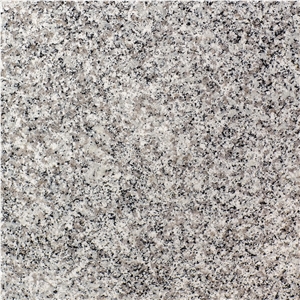 White Granite Natanz Tile & Slab White Granite Natanz Tile & Slab