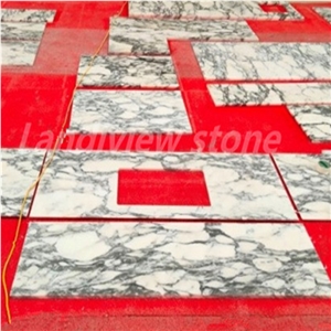 Arabescat White Marble Bathtop Vanity Countertops