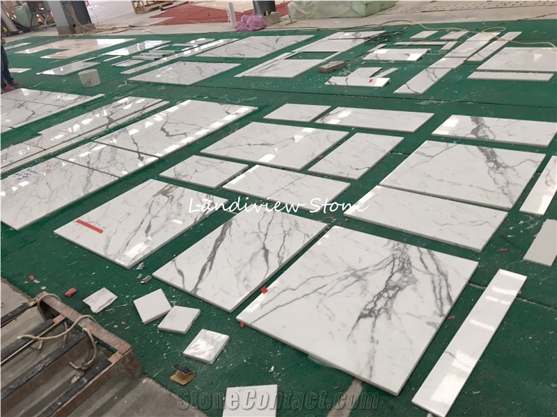 Arabescato Corchia Marble Snow Flower White Marble