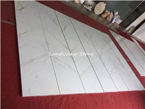 Bianco Statuario Venato Marble Aluminum Honeycomb