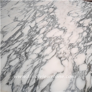 Calacatta Arabescato Supreme White Marble Slabs Calacatta Arabescato Supreme White Marble Slabs