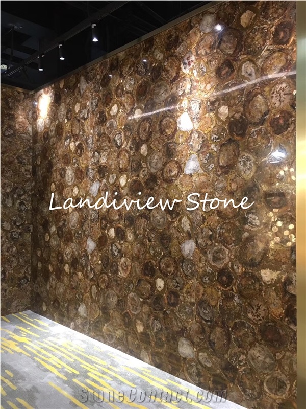 Petrified Wood Semiprecious Stone Slabs
