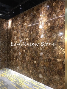 Petrified Wood Semiprecious Stone Slabs