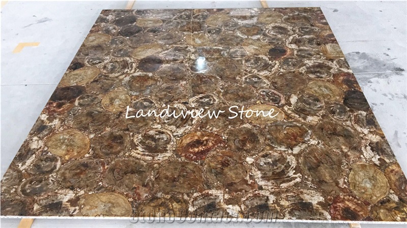 Petrified Wood Semiprecious Stone Slabs