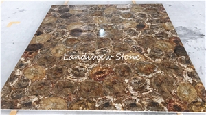 Petrified Wood Semiprecious Stone Slabs