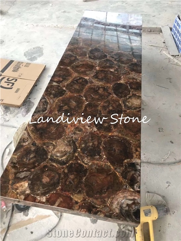 Petrified Wood Semiprecious Stone Slabs